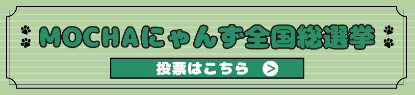 MOCHAにゃんず全国総選挙