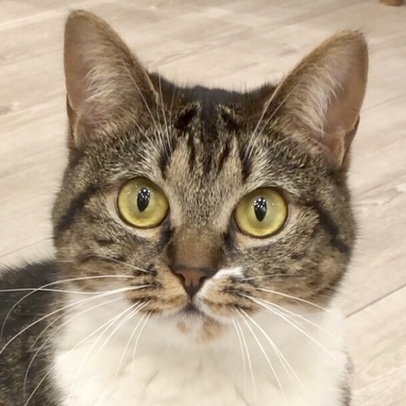 アルシェ大宮店 ネオ