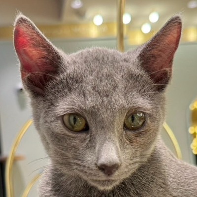 イオンモール松本店 シアン