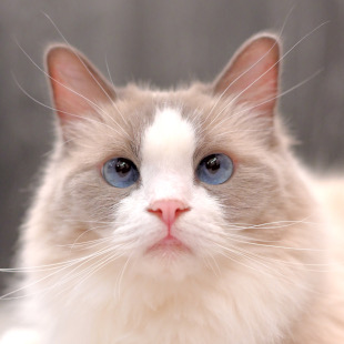 アルシェ大宮店 ひめ