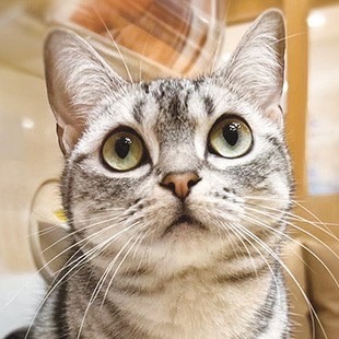 宮崎橘通店 リリー