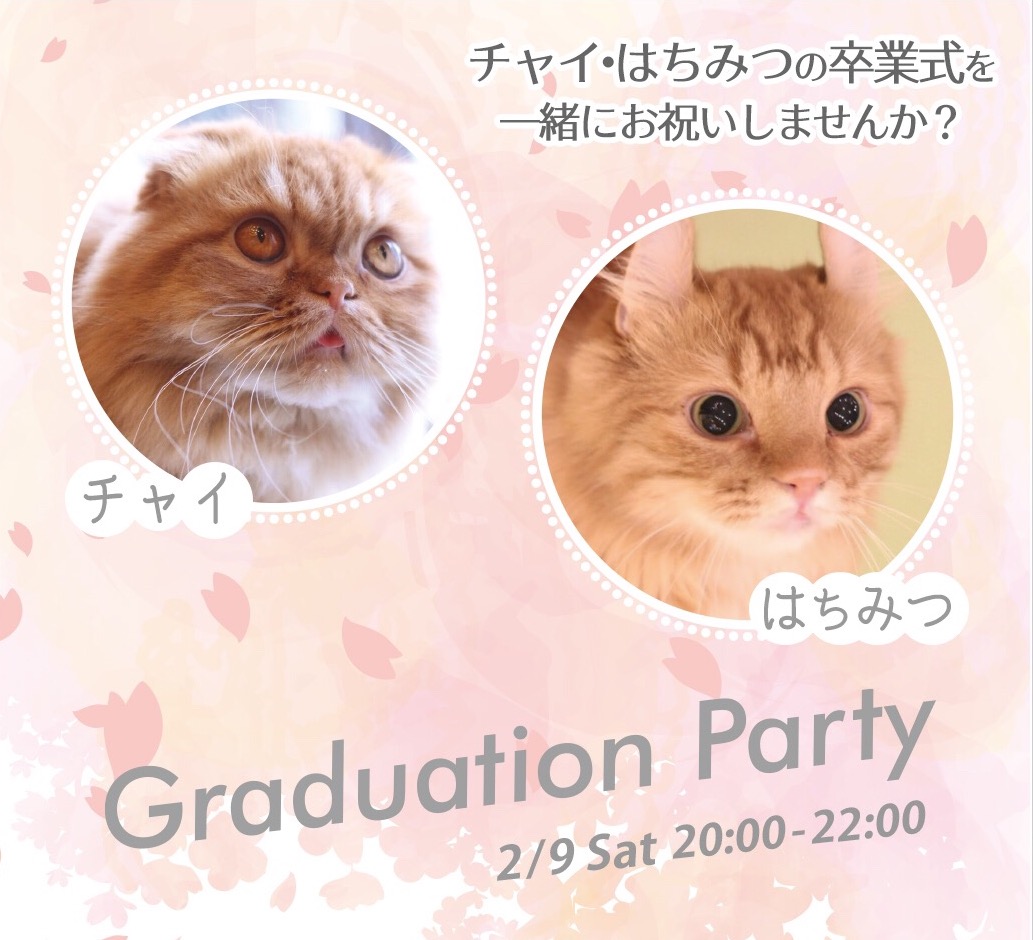 お知らせ・メディア掲載情報｜猫カフェ MOCHA(モカ)