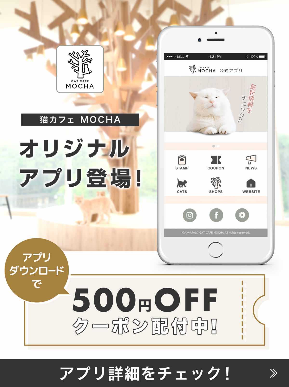 猫カフェ Mocha モカ 全国21店舗展開