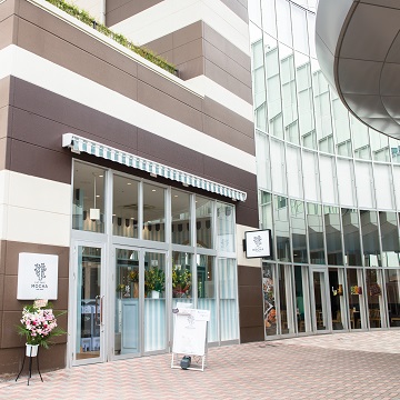 猫カフェ Mocha モカ イオンレイクタウン店 猫カフェ Mocha モカ イオンレイクタウン店
