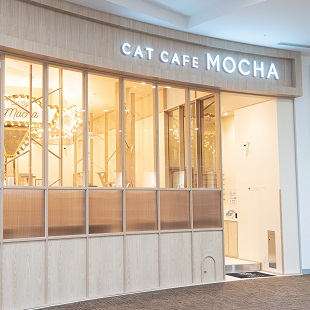 猫カフェ Mocha モカ イオンモール筑紫野店