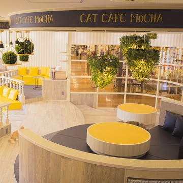 猫カフェ Mocha モカ 京都河原町店