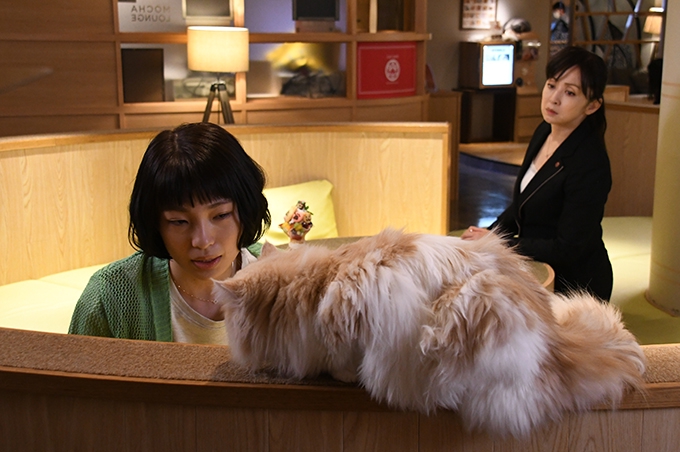 ドラマ 警視庁 捜査一課長 で使用されました お知らせ メディア掲載情報 ドラマ 警視庁 捜査一課長 で使用されました お知らせ メディア掲載情報