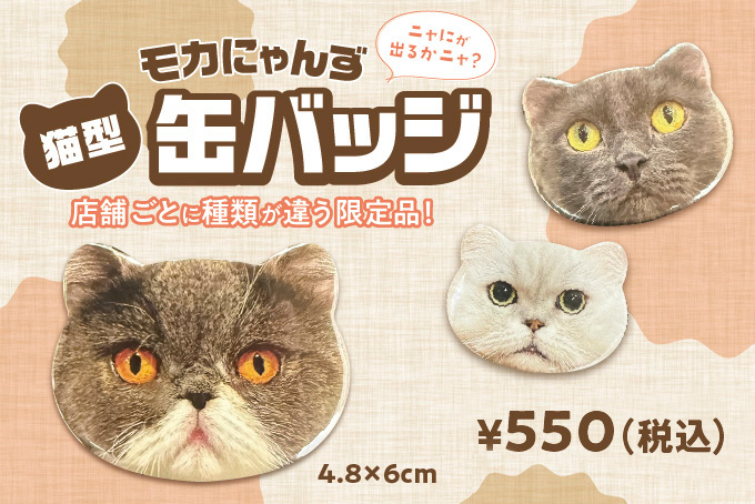 新商品発売のお知らせ | お知らせ/メディア掲載情報