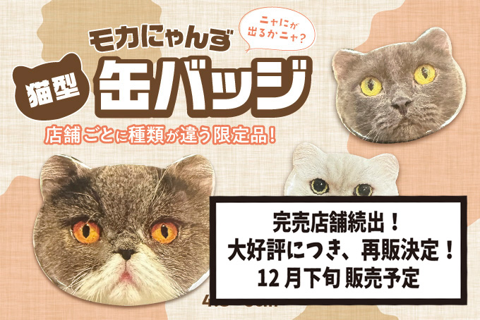 モカにゃんず猫型缶バッジ 〜vol.1〜」追加販売決定！ | お知らせ 
