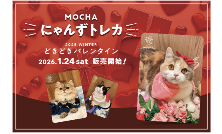 新作トレカ販売のお知らせ | お知らせ/メディア掲載情報